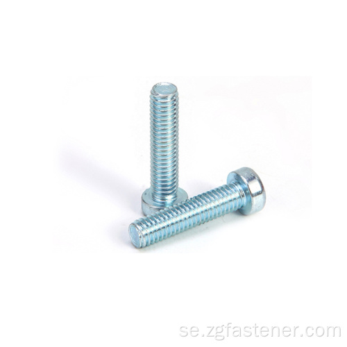 Grad 8.8 Blue White Zink Socket Screw med reducerat huvud